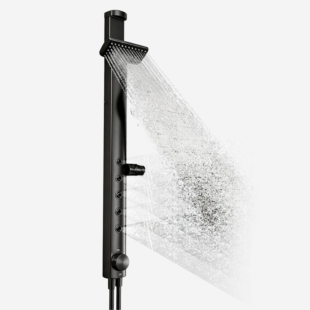 رأس دش مزدوج برأسين Shower With Two Heads