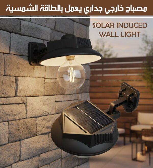 مصباح خارجي جداري يعمل بالطاقة الشمسية SOLAR INDUCED WALL LIGHT
