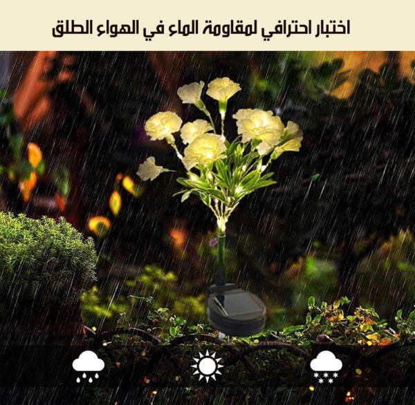 زهور مضيئة خارجية بالطاقة الشمسية Outdoor Solar Flowers