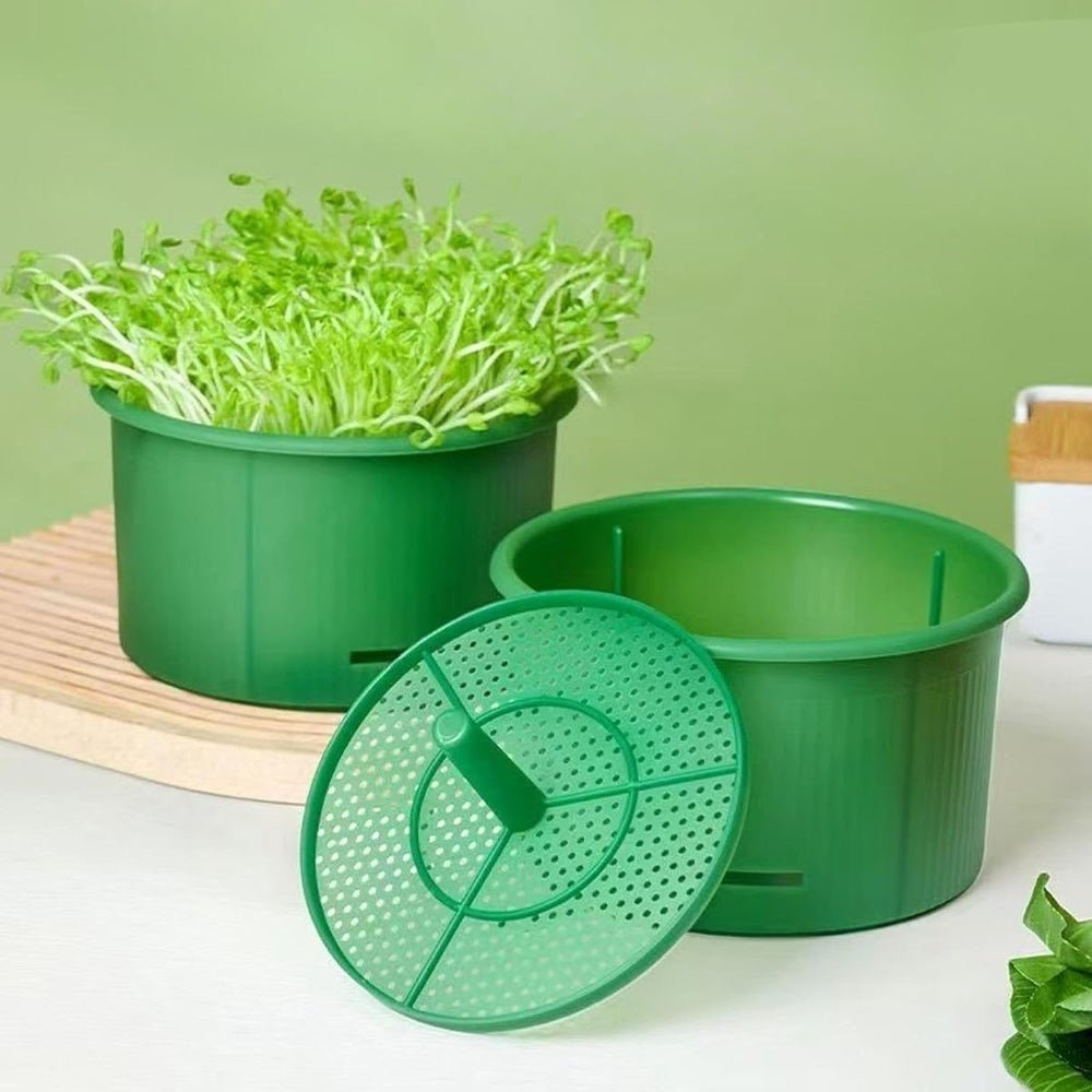 وعاء إنبات لإستنبات البذور والخضروات Seed & Vegetable Sprouting Bowl